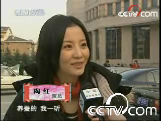 陶红