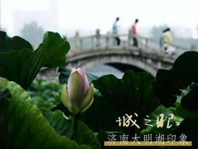 《济南大明湖印象》_CCTV.com_中国中央电视