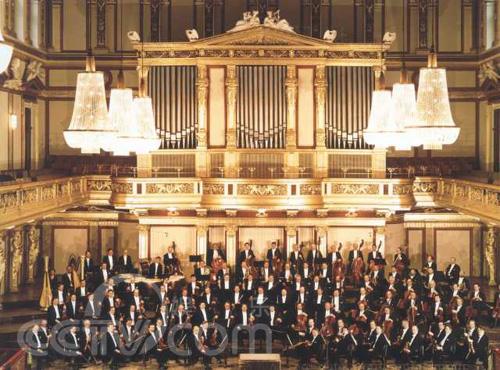美丽的音色的拥有者:维也纳爱乐乐团