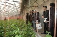 采访团记者在参观
